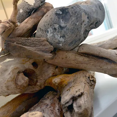 Doerphus Am Bodden - Wg 02